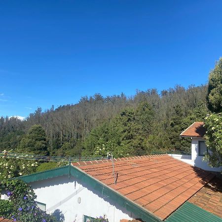 Bed and Breakfast The Tamarillo Ooty Exteriér fotografie