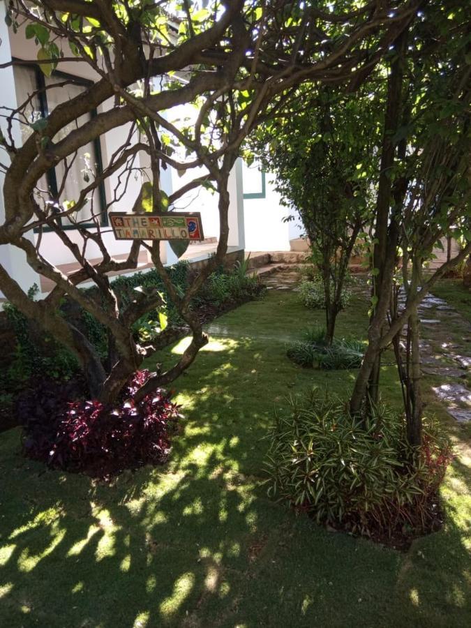 Bed and Breakfast The Tamarillo Ooty Exteriér fotografie