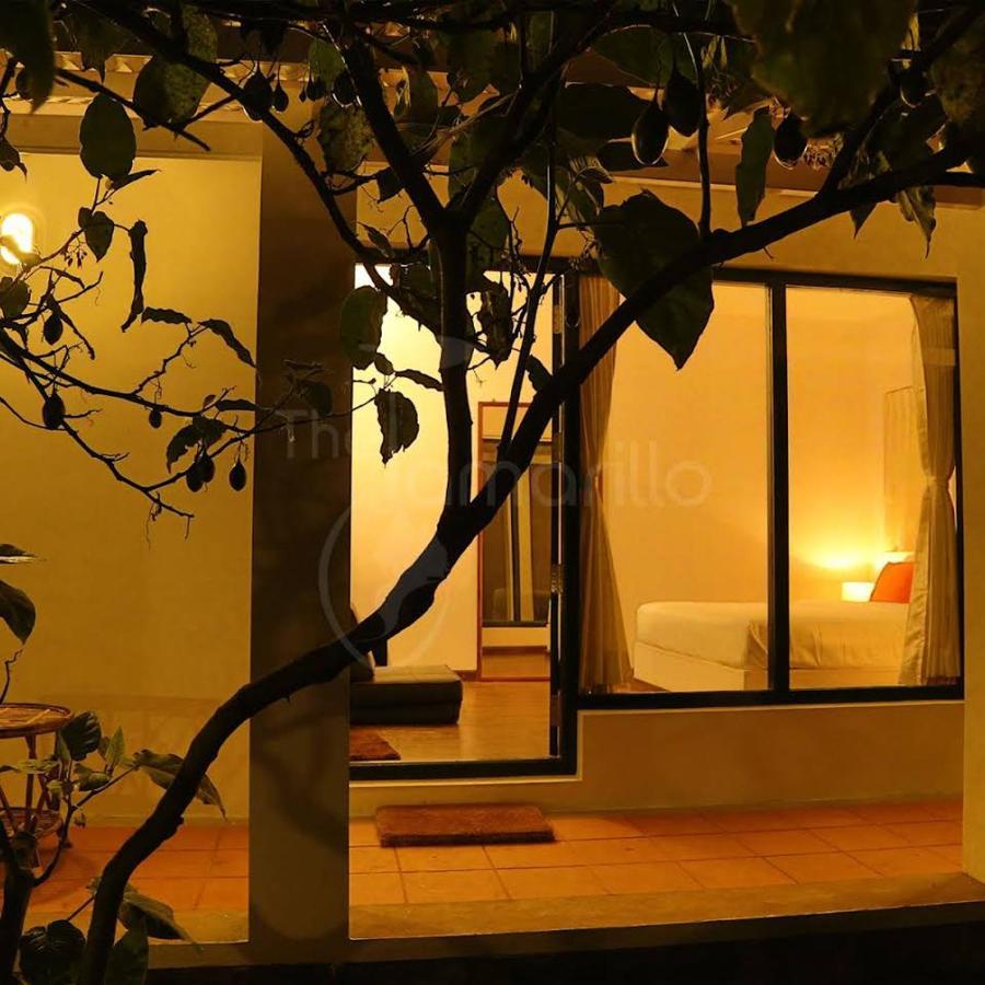 Bed and Breakfast The Tamarillo Ooty Exteriér fotografie