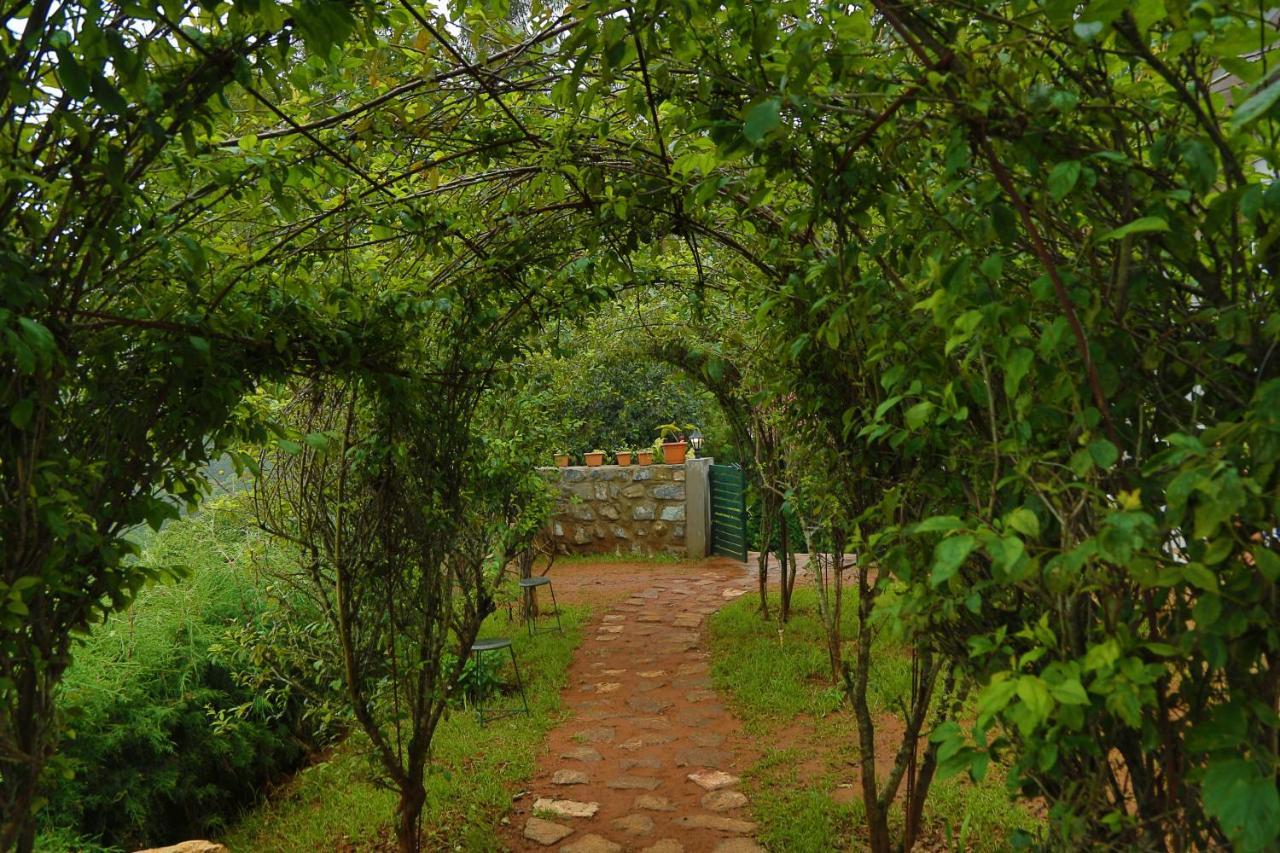 Bed and Breakfast The Tamarillo Ooty Exteriér fotografie