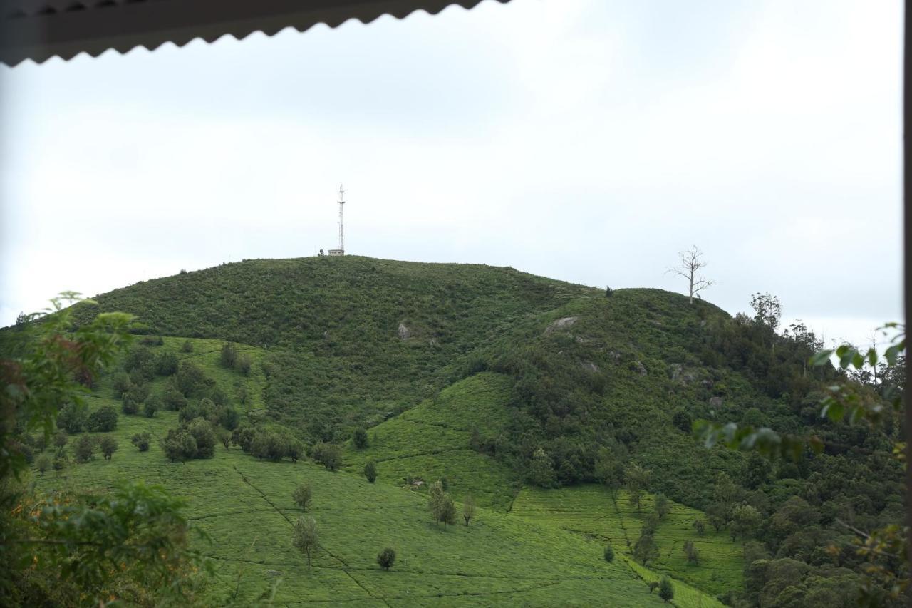 Bed and Breakfast The Tamarillo Ooty Exteriér fotografie
